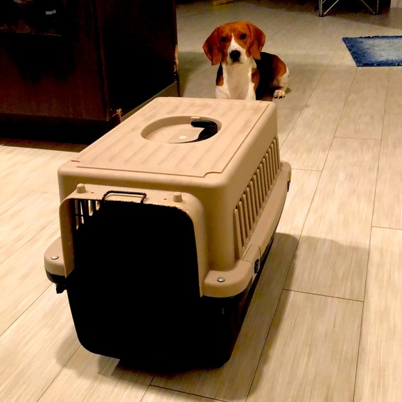 Other - Dog crate